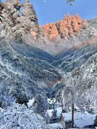 江西·庐山｜保姆級兩日觀雪攻略 山巔雪城||