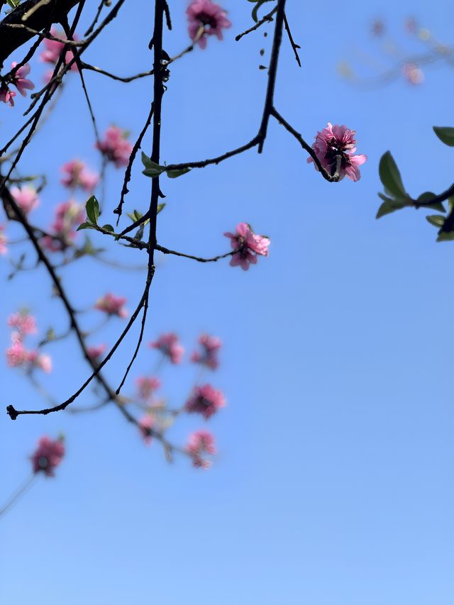 為什麼去騰沖要體驗一次高黎貢山徒步 想更接近神秘的潘多拉