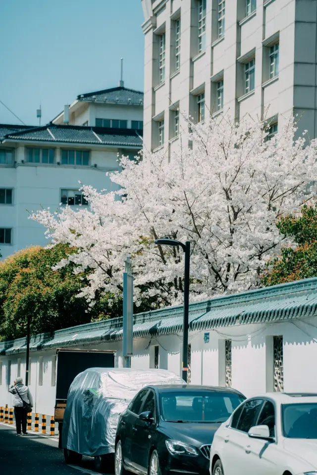 絶対に春の蘇州の小道を見逃さないでください、まるで一つの驚きです