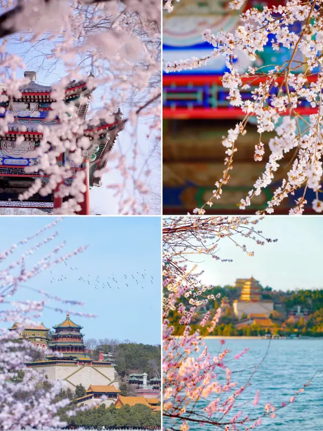 The full bloom of spring in the Summer Palace cannot be concealed