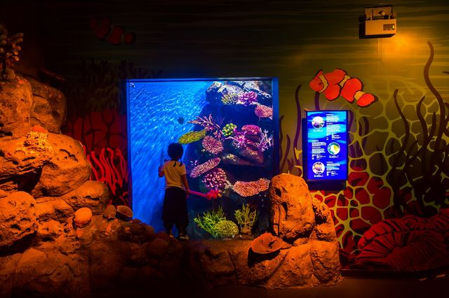 暹羅海洋館：遛娃必去，這是一個很人性化、帶入感強的海洋館