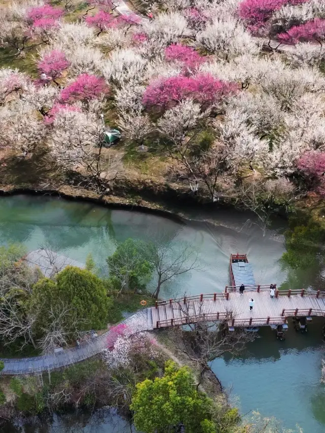 지하철 직행! | 국가지리에 추천된 항주 산메이 천장!