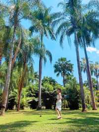 容易愛上這裡·西雙版納精華景點·中科院植物園