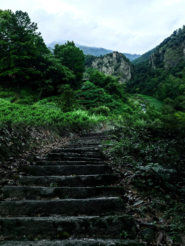 紹興徒步｜江浙滬古道天花板 只再等你3年