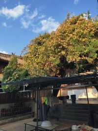 人生第一次（免費）夜宿古寺