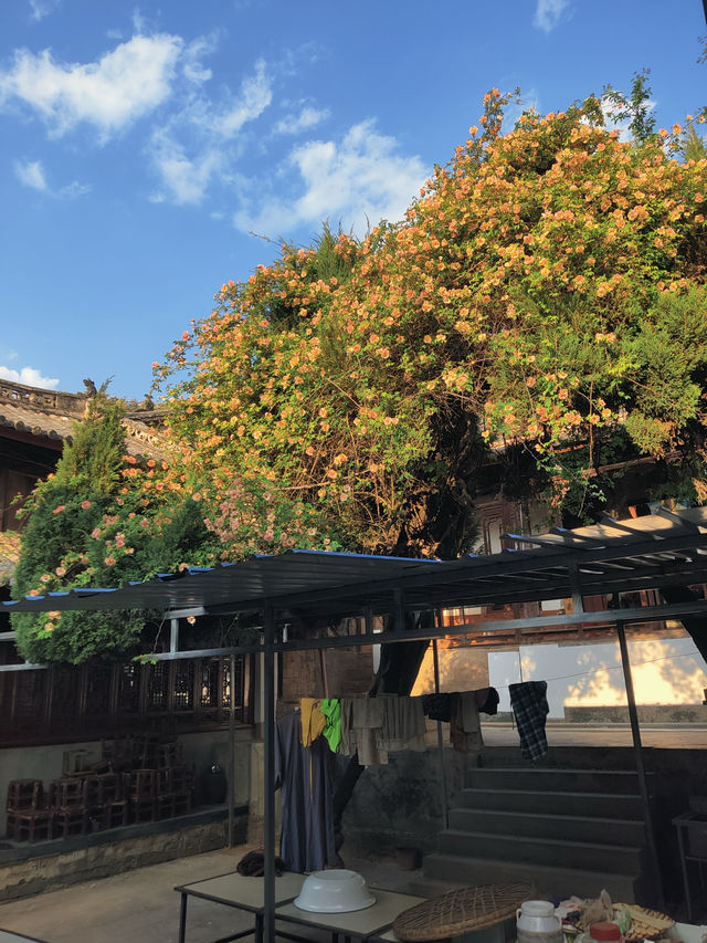 人生第一次（免費）夜宿古寺