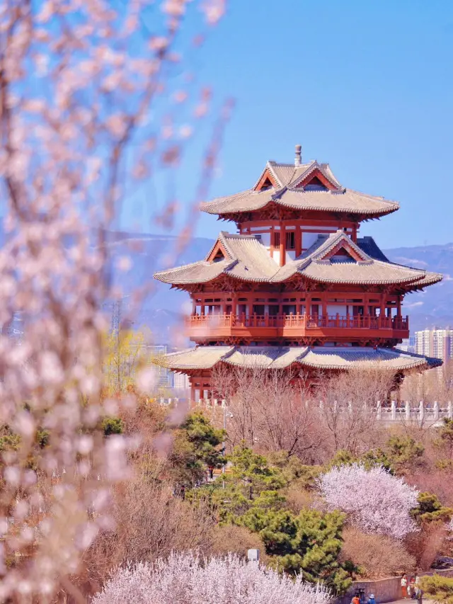 北京の園博園｜予想外の桃花谷