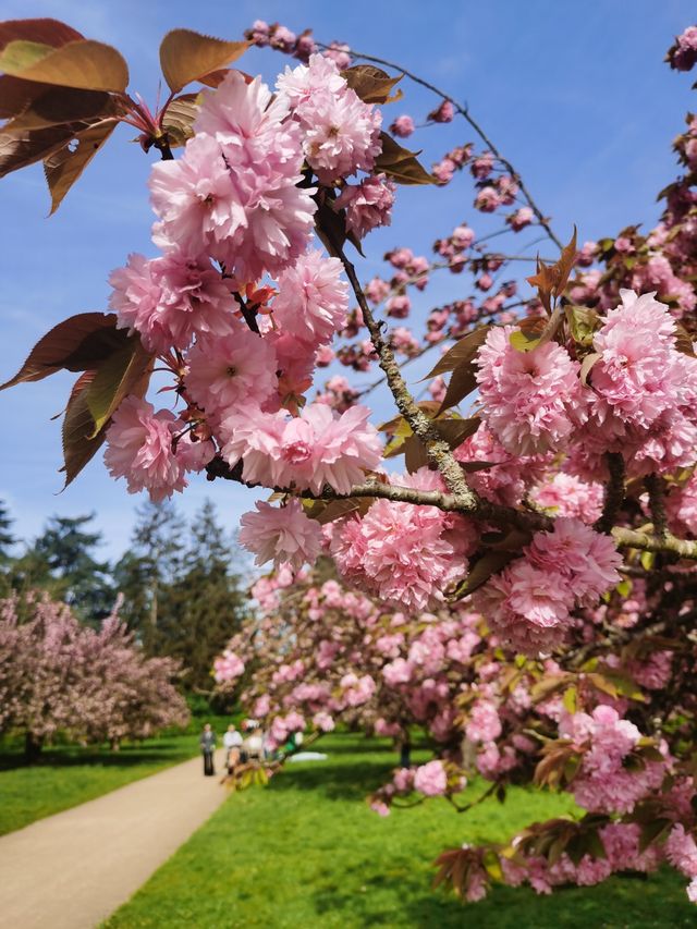 索鎮公園是個遊玩的好地方