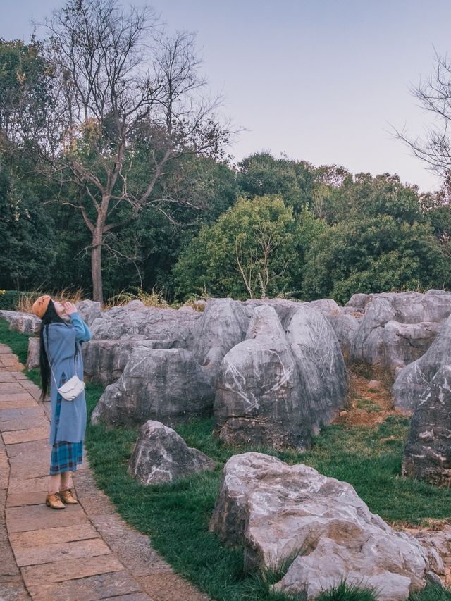 自駕雲南｜昆明石林生態公園：原來在夕陽下賞花更加浪漫