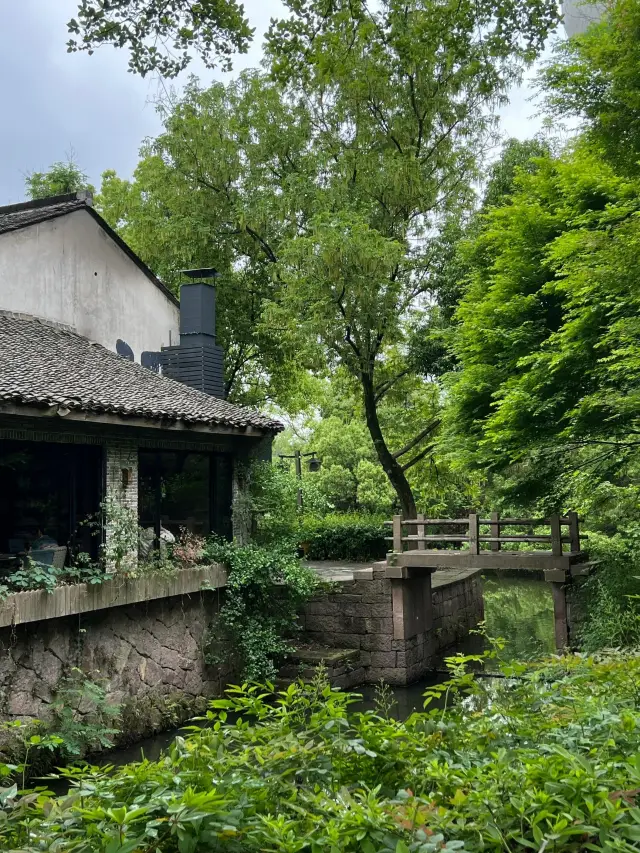 Hangzhou is not only about the West Lake, but Xixi Wetland Park is even more beautiful!!!
