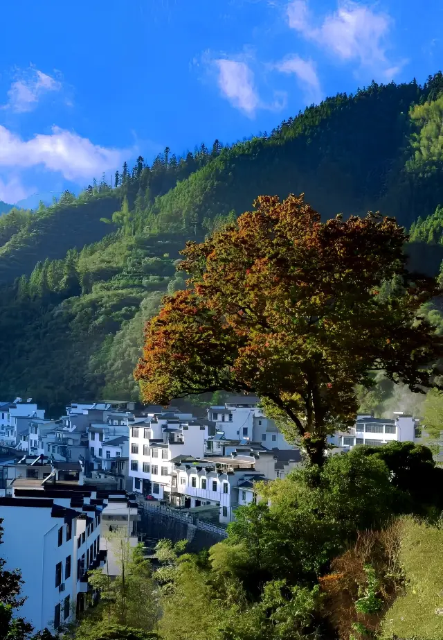 A low-key and beautiful ancient town—The filming location of "A Dream of Splendor"