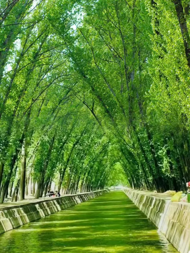 A real-life version of the Emerald City! Right in Taiyuan's Xigan Canal!
