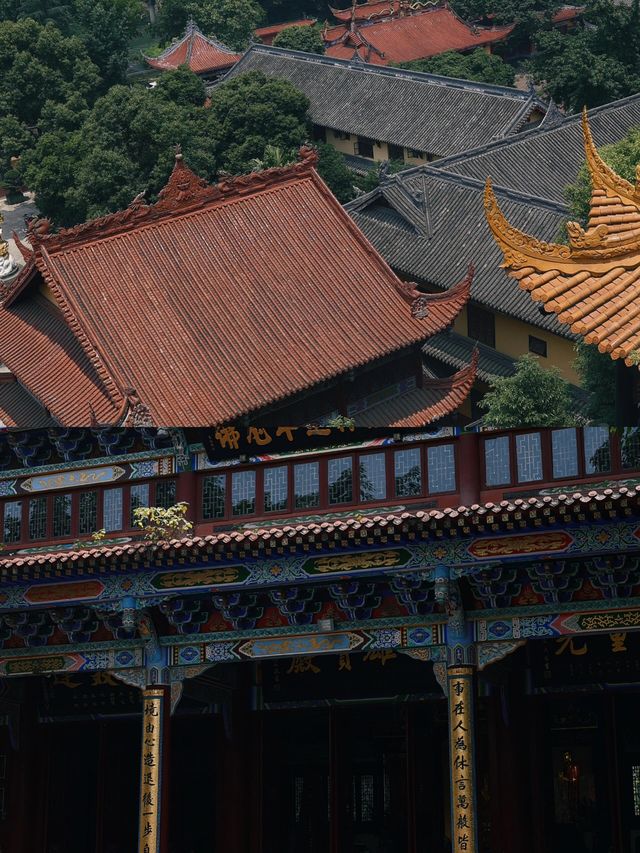 比起文殊院，我更愛這座地鐵直達的百年寺廟