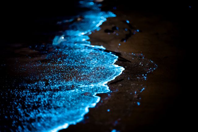浪漫很貴，帶愛的人看藍眼淚免費。