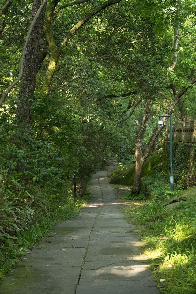 西湖有座山，叫孤山