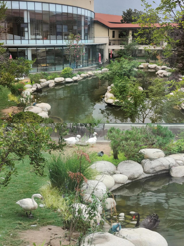 酒店自帶動物園、遊樂園、野炊受得了嗎？