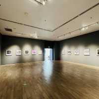 來深圳光明文化藝術中心美術館一起看展啦