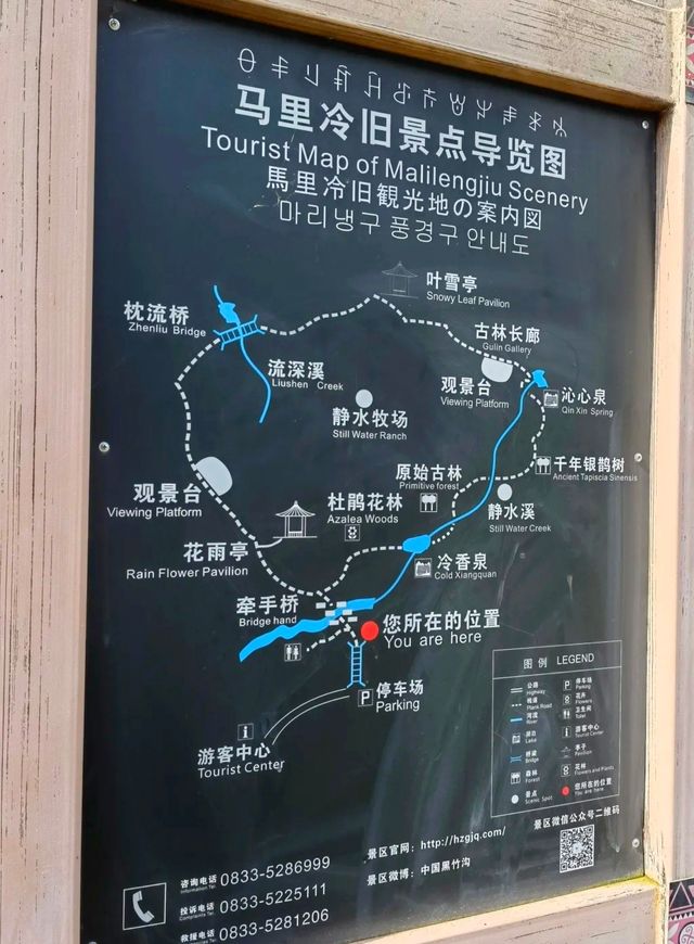 來黑竹溝景區，開啟初夏美好時光