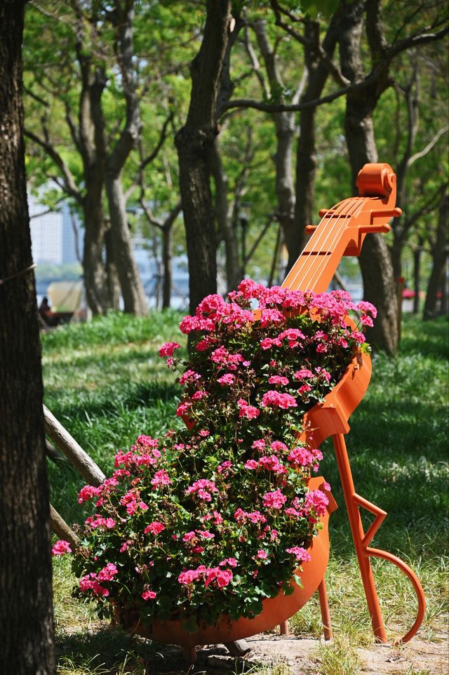 在上海永遠不缺人少景美的免費公園