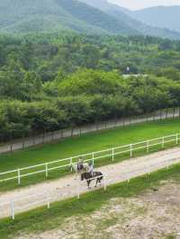 上海周邊1h到小「阿勒泰」週末說走就走 好美
