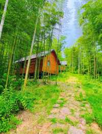 在莫干山闖入童話裡的小木屋