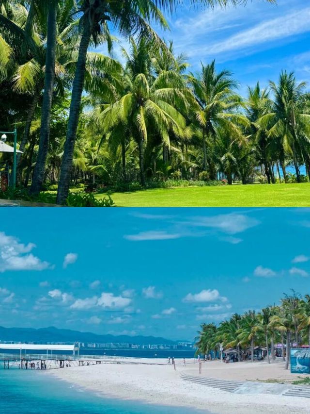 驚了！這才是海南的正確打開方式！