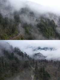 夏日看雪山，这家工业风民宿一定要去