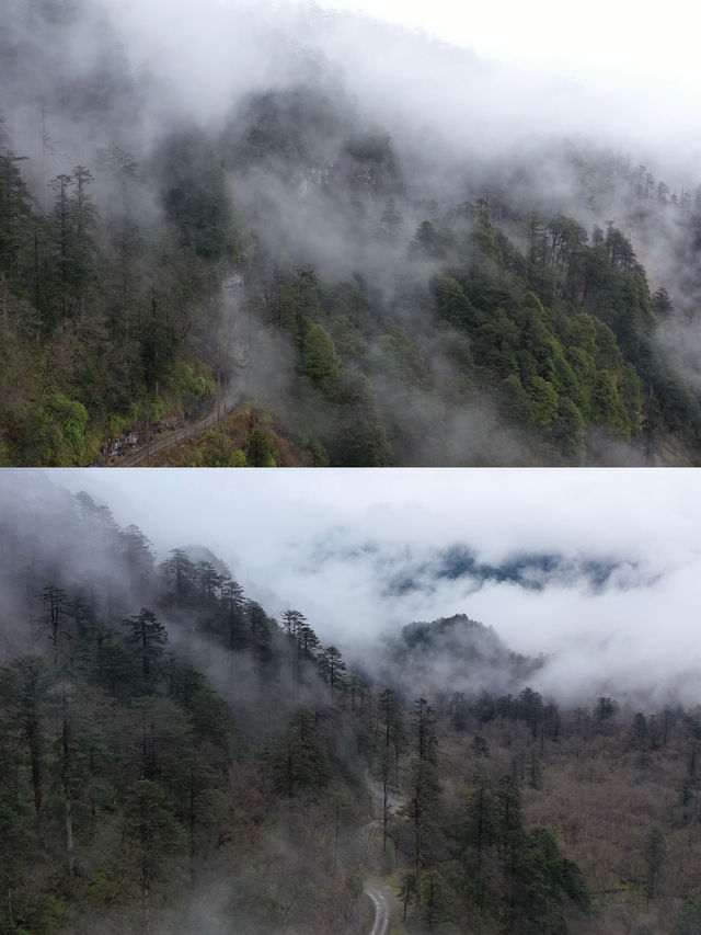 夏日看雪山，这家工业风民宿一定要去
