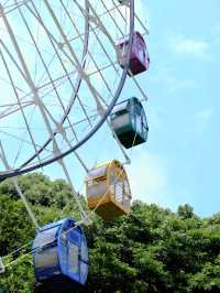 慈溪峙山公園|出太陽啦快出門玩吧~