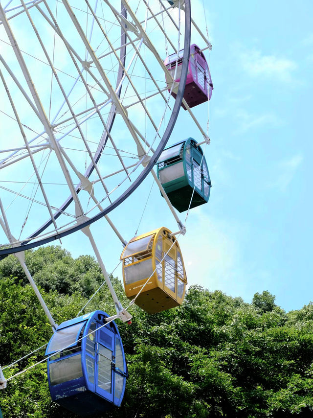 慈溪峙山公園|出太陽啦快出門玩吧~