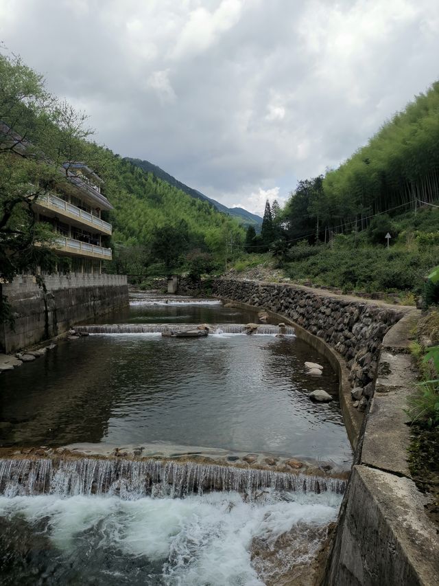 桐木關