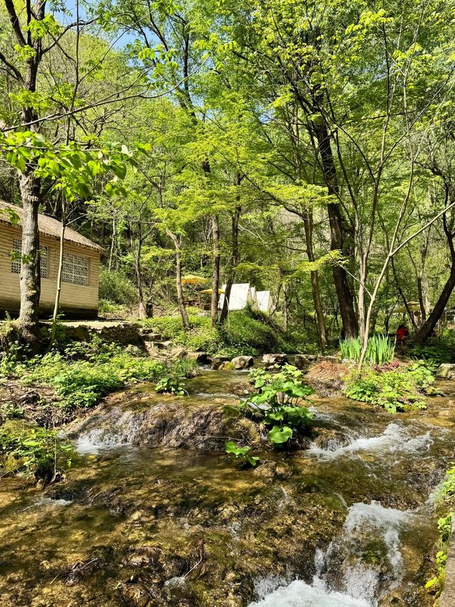 河南欒川重渡溝