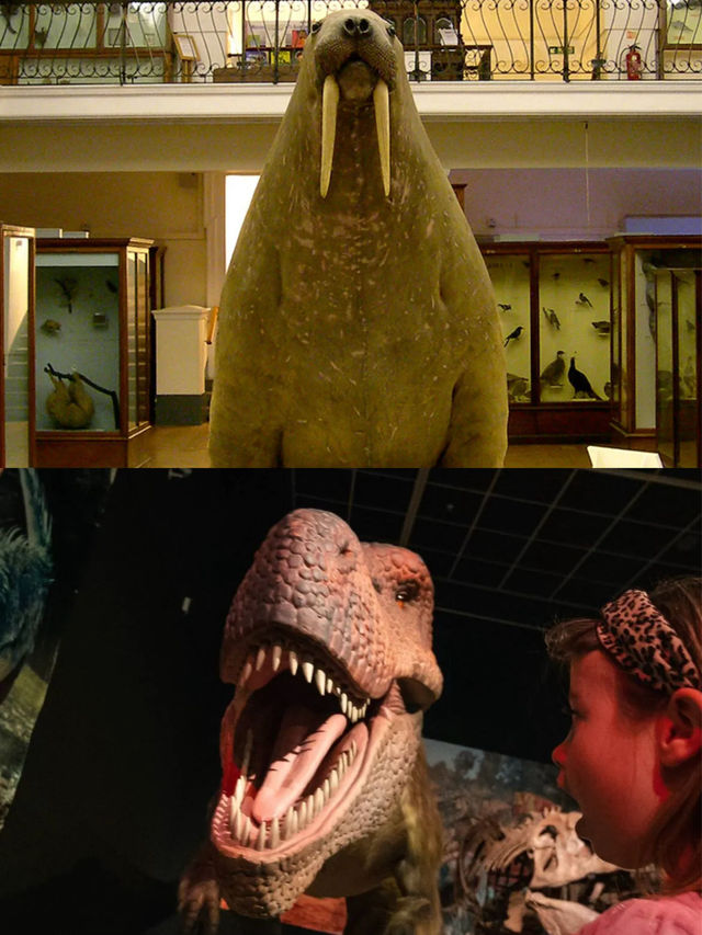  Must-visit free museums in southwest London