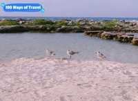 Summer Escape: Catalonia Riviera Maya