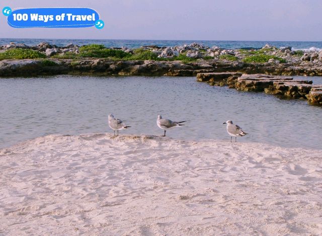 Summer Escape: Catalonia Riviera Maya