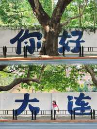 到目前為止,我最喜歡的城市出現了!!!!!剛從大連回來,心還在那裡,真的是超級浪漫美麗乾淨的海濱城市。