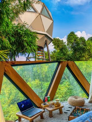 국외가 아닌 성도에 있는 나무 위의 트리하우스에 머물렀습니다!