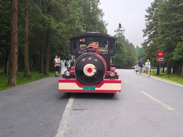 仙女山國家森林公園，仙山畫境......是年青人夢想的地方。