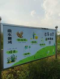 蘇州的遛娃聖地｜世外桃源般的曲水善灣