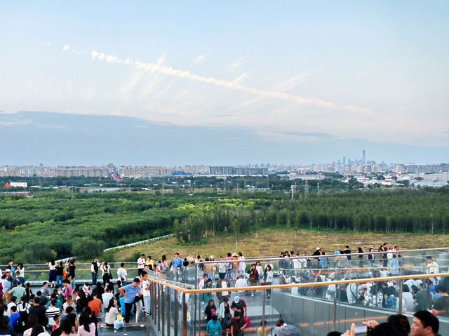 2024.9.15｜絕對不要在下午進入南苑森林濕地公園！