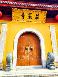 青浦東厍村印象。