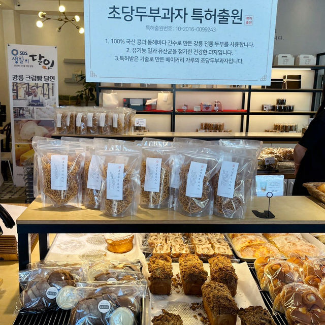속초 빵지순례 크림빵 맛집 베이커리 가루🥖