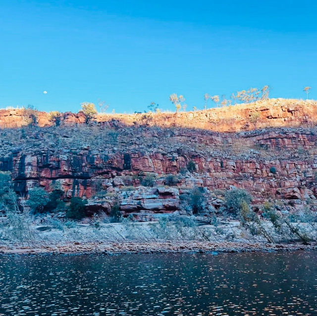 Chamberlain River Cruise 🚢 Western Australia 🇦🇺 