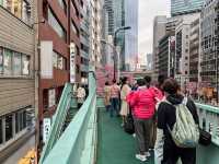 東京景點｜澀谷明治通櫻花盛放