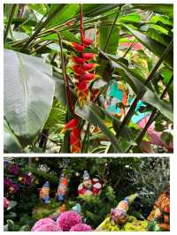芝加哥的寶藏：林肯動植物園。