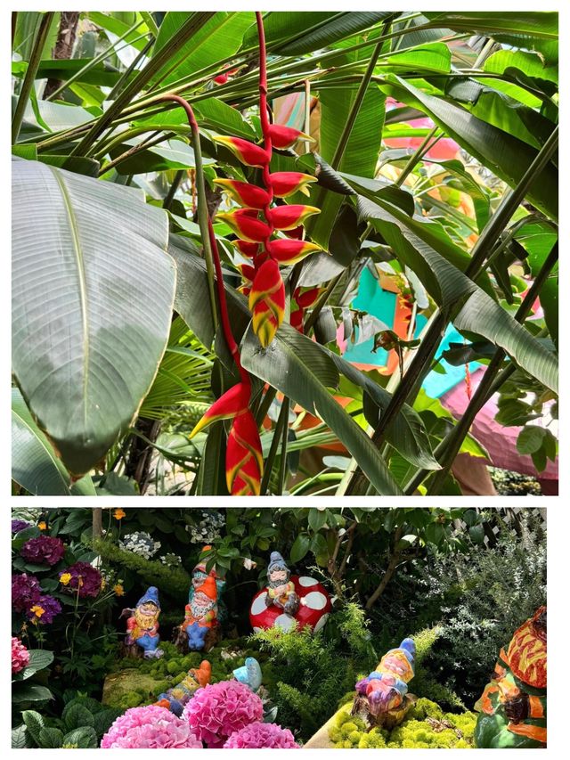 芝加哥的寶藏：林肯動植物園。