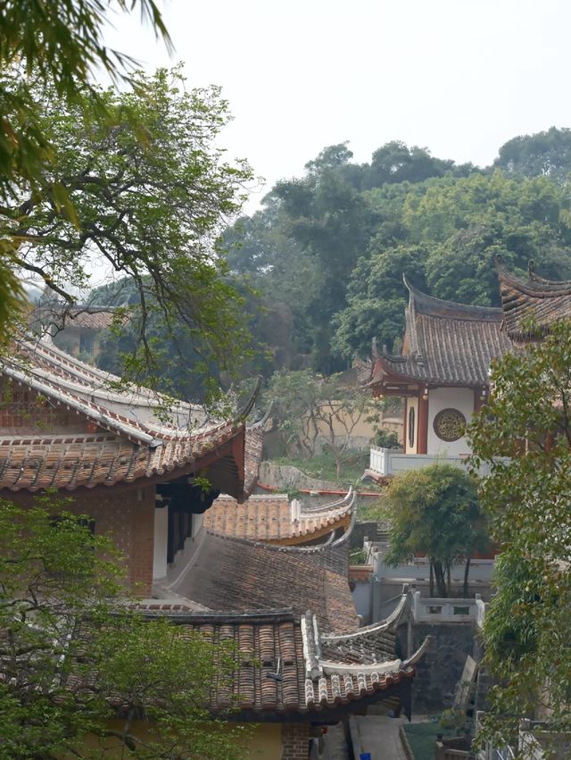 南山廣化寺遊記。