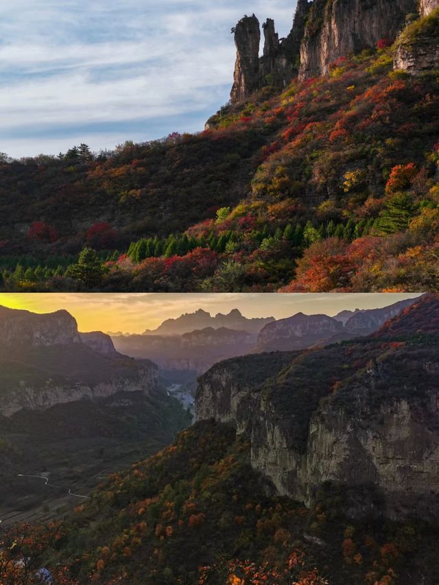 這可能是莊裡最輕鬆的賞紅葉方式了。