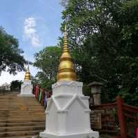 Discover All of China in One Day in Shenzhen