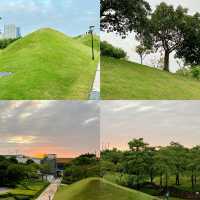 秋日逛公園||海灣公園||從不讓人失望。